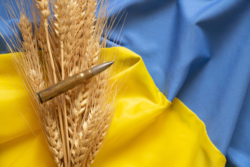 bandeira ucraniana sobre a safra de trigo de inverno