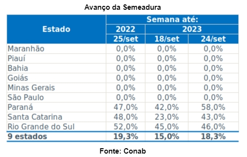 Chuvas intensas alteram plantio de milho no sul do Brasil