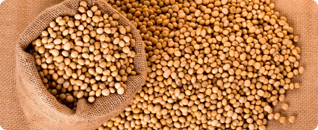 Datagro grãos estima novo recorde nas esportações do complexo de soja brasileiro 2023