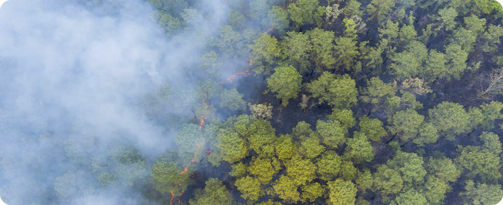 Tragédias climáticas, crises de saúde e guerras provocaram US$ 3,8 trilhões em perdas em colheitas