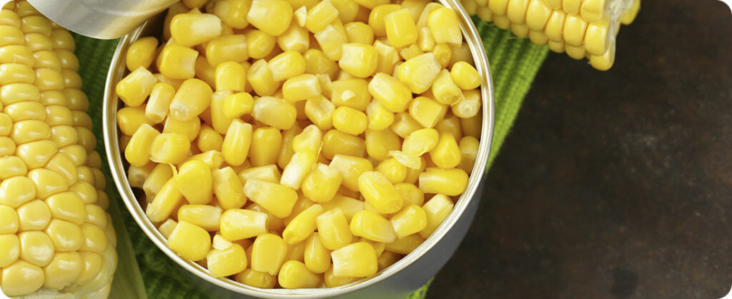 De olho na colheita dos EUA, mercado do milho opera com baixas nesta 3ª feira na CBOT