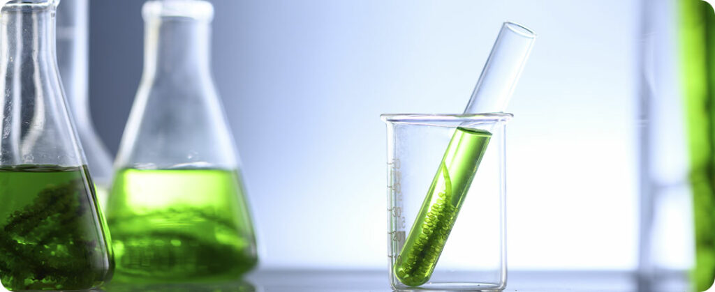 ACX lança plataforma de negociação física de biocombustíveis em Abu Dhabi