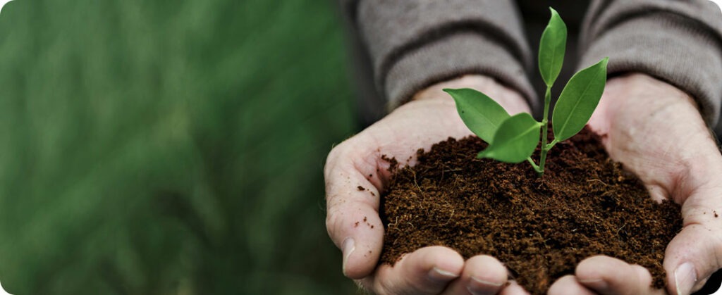 Brasil lidera discussões sustentável
