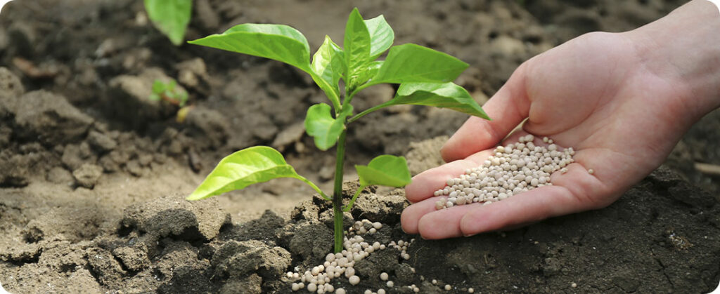 Índice mostra que cenário segue favorável para agricultor investir em fertilizantes