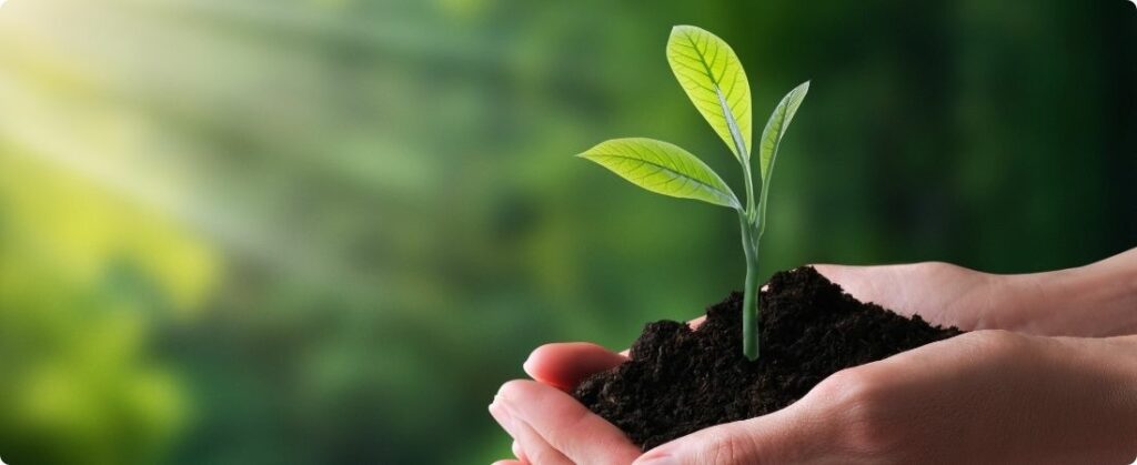 Lei antidesmatamento da UE: Agro brasileiro já sofre cobranças ambientais