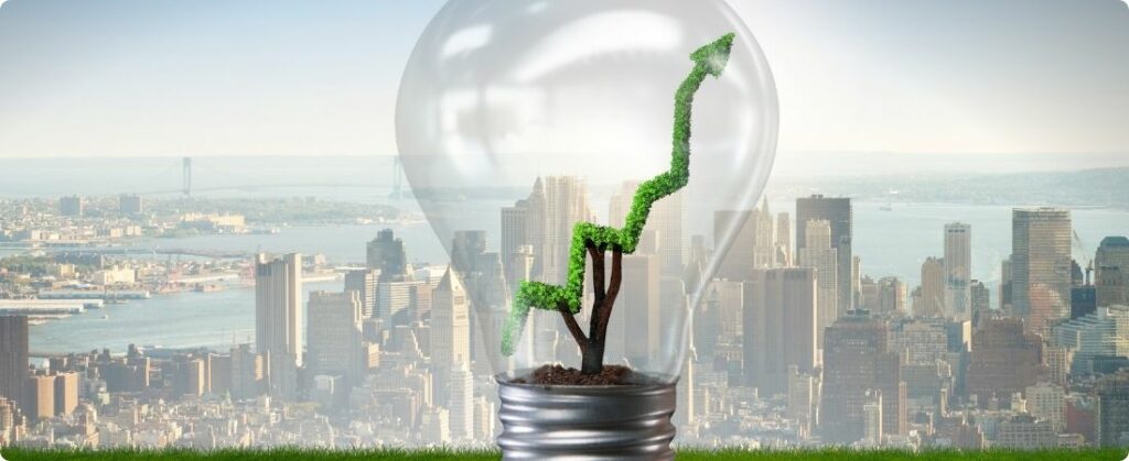 Créditos de carbono no campo impulsionam economia verde