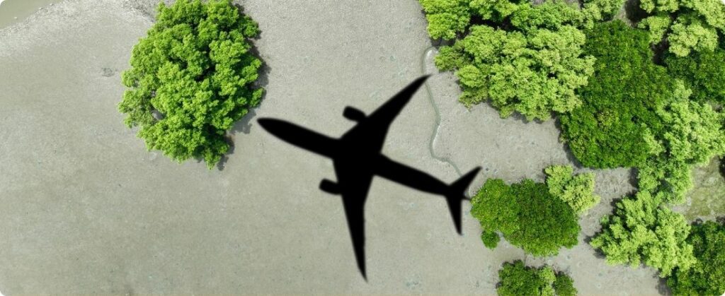 Brasil em Foco no SAF Congress Latam 2025